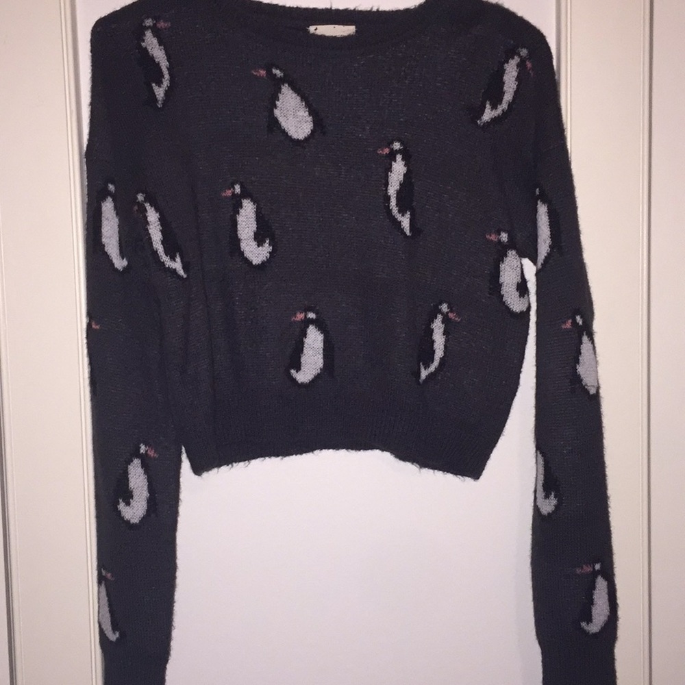 Urban outfitters cropped sweater